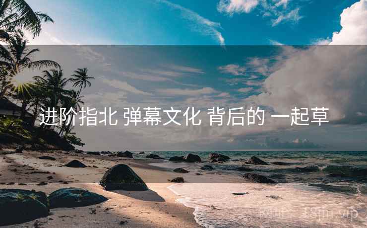 进阶指北 弹幕文化 背后的 一起草