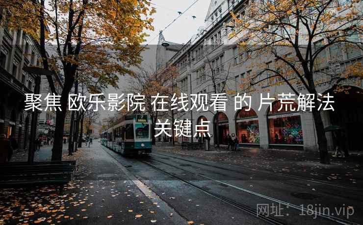 聚焦 欧乐影院 在线观看 的 片荒解法 关键点