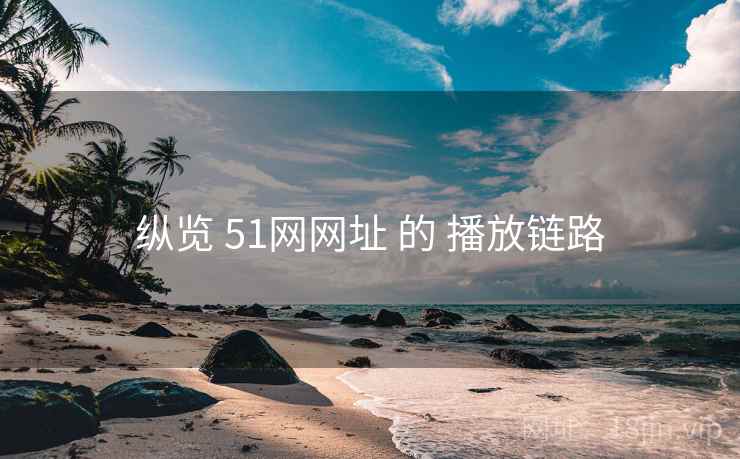 纵览 51网网址 的 播放链路