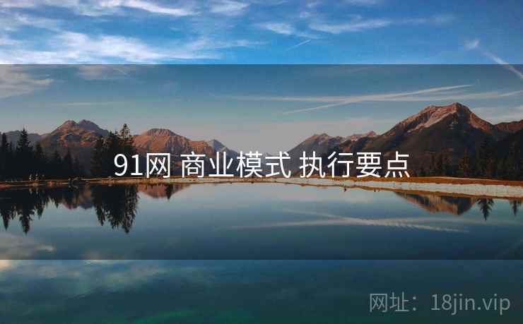 91网 商业模式 执行要点 91网 商业模式 执行要点