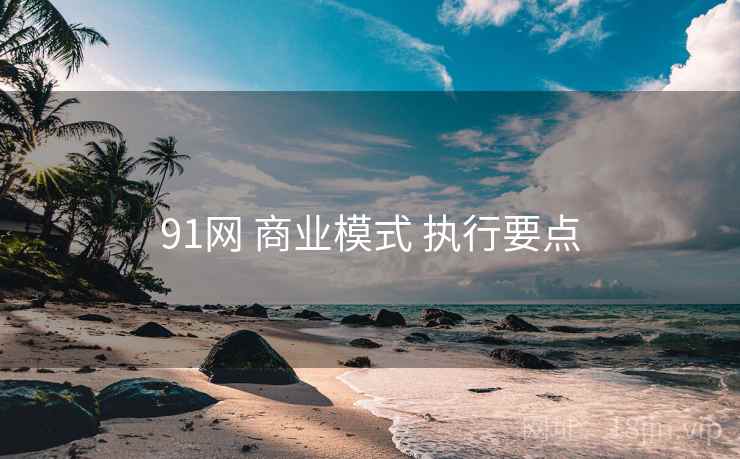 91网 商业模式 执行要点